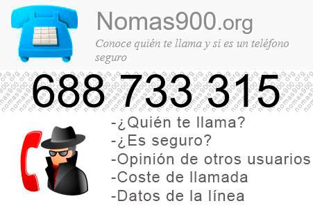 Teléfono 688733315